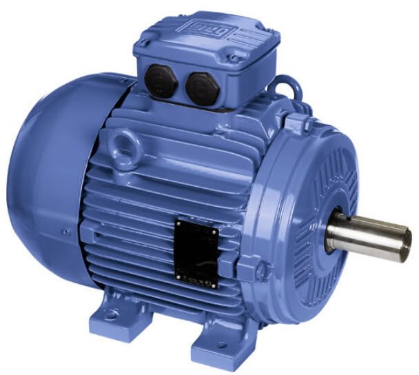 MOTORES DE JAULA DE ARDILLA